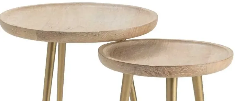 100635-crestview-bengal-manor-set-of-2-metal-leg-tray-top-tables-20-5-1.webp