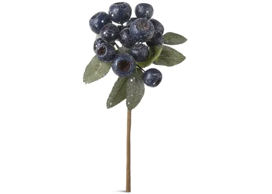Blue Berry Cluster Stem