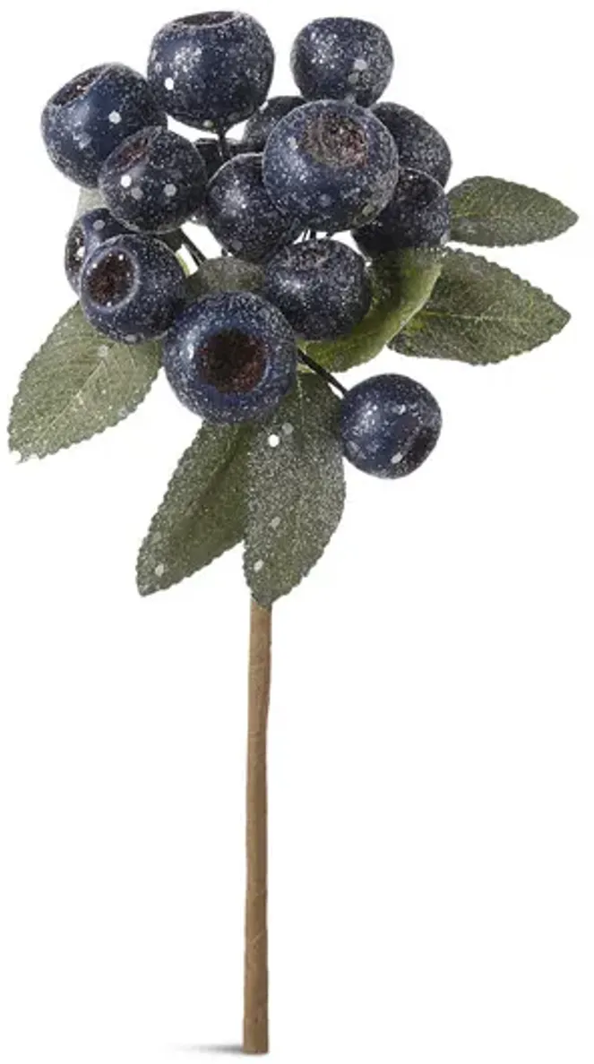 10093-blue-berry-cluster-stem-1.webp