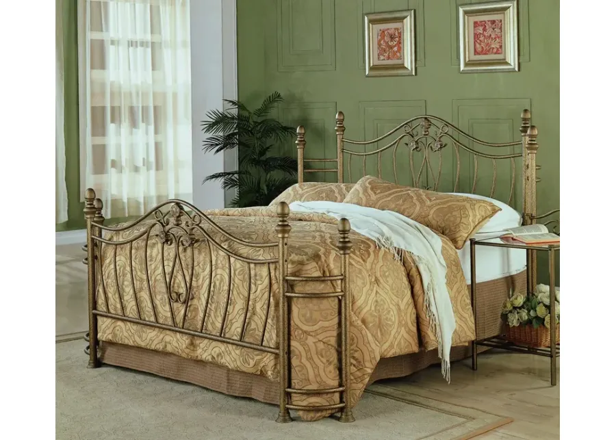 Coaster Sydney Metal King Open Frame Bed Brushed Gold-93