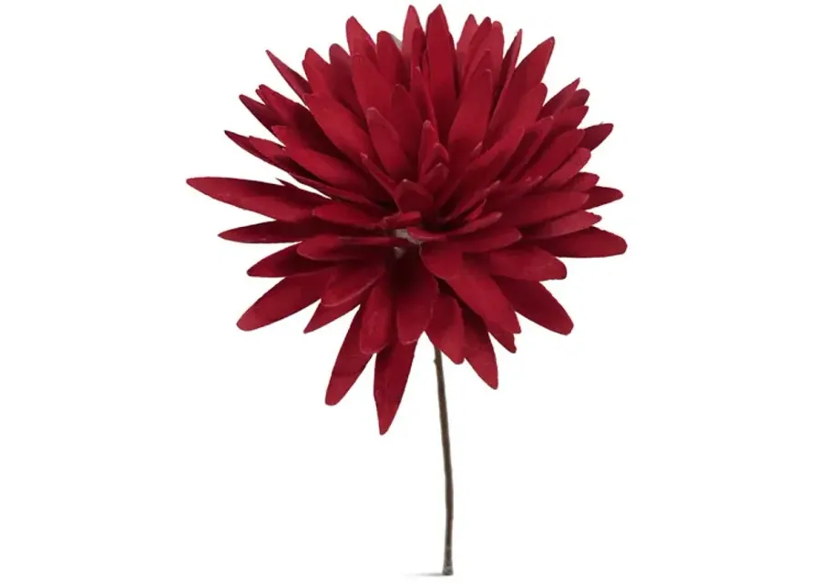 Dahlia Flower - Rust