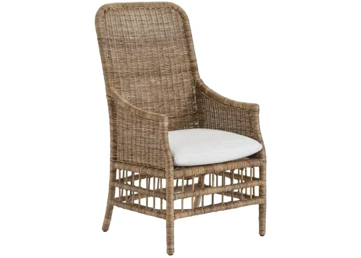 101717-universal-modern-farmhouse-irving-barley-woven-slimit-dover-natural-armchair-23-1.webp