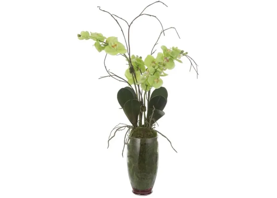 Uttermost Valdive Dark Green/Green/Light Green Orchid-21