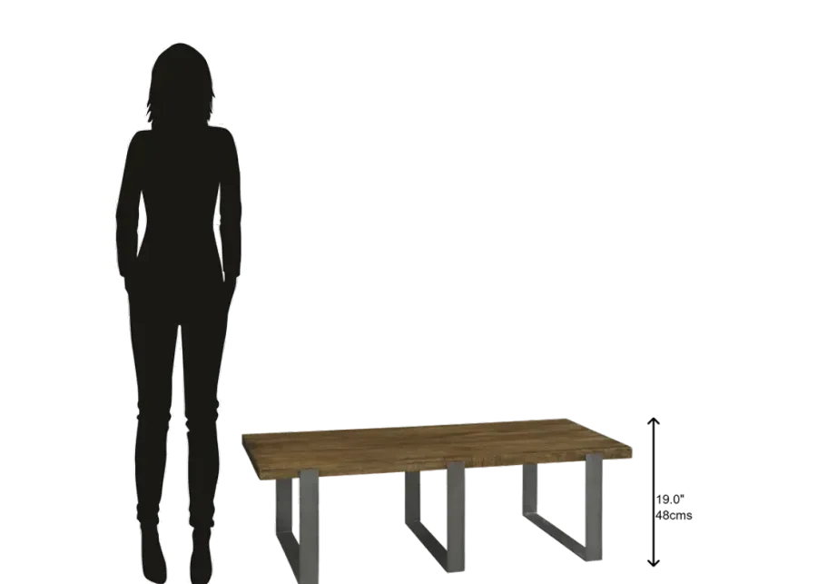 Hekman Iron Strapping Rectangular Coffee Table-60