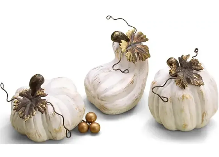 Assorted White Pumpkins