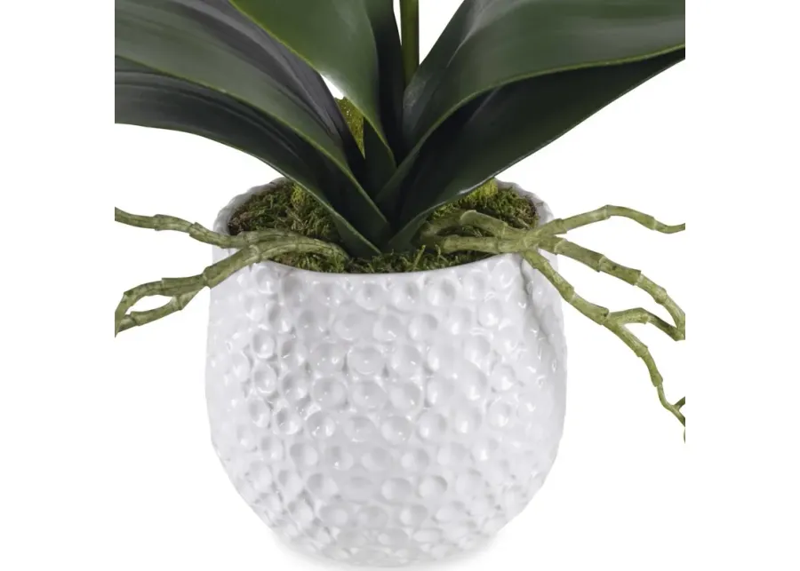 Uttermost Cami White Orchid-14