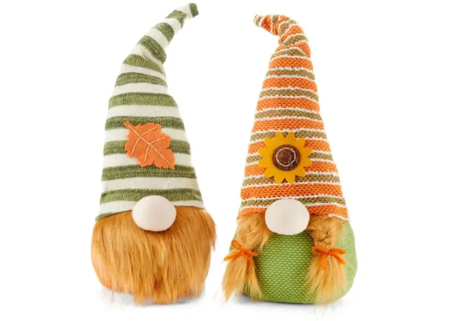 Assorted Harvest Gnomes