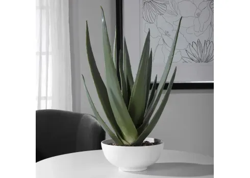 105340-uttermost-evarado-aloe-planter-17-1.webp