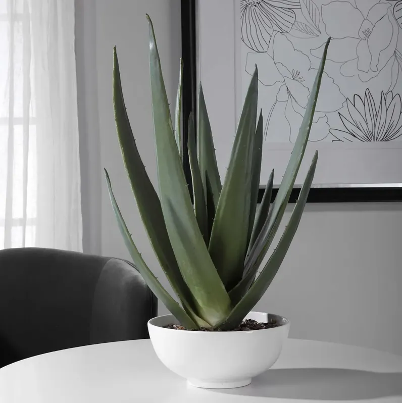 105340-uttermost-evarado-aloe-planter-17-1.webp