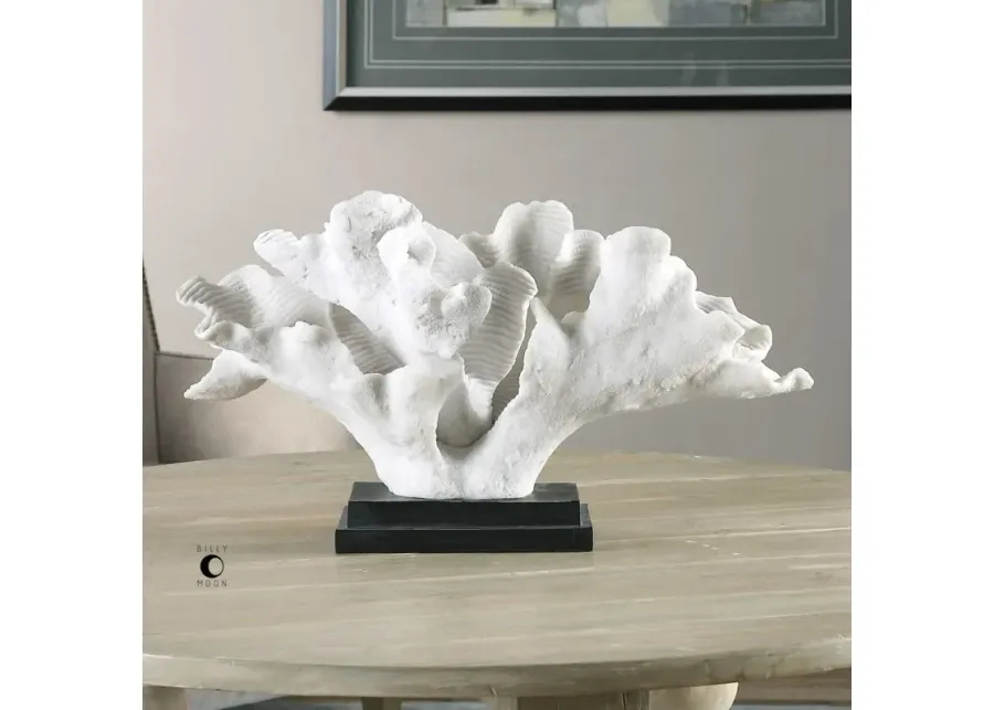 Uttermost Blade White Coral-20
