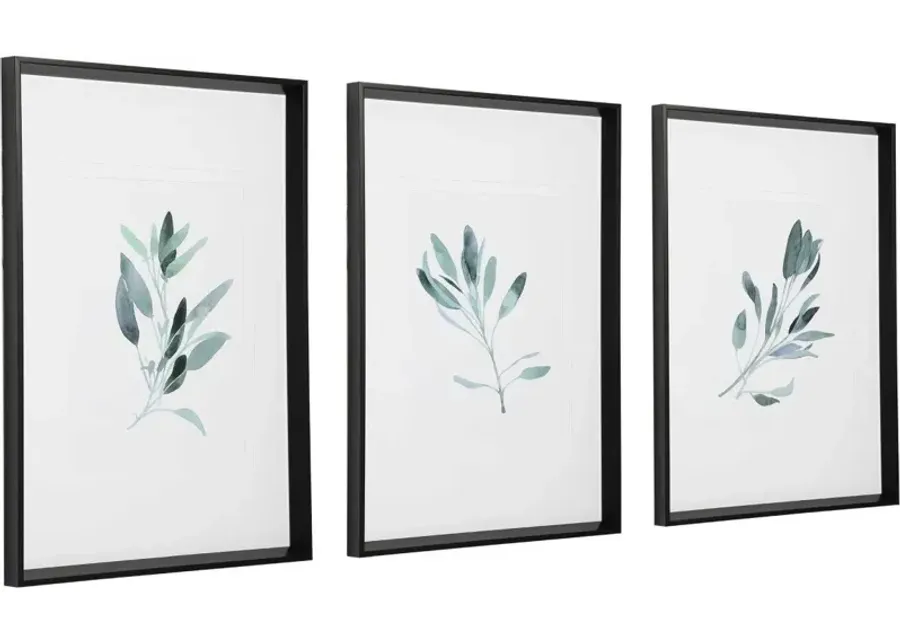 Uttermost Simple Sage 3-Piece Green Watercolor Prints Wall Art-25.5