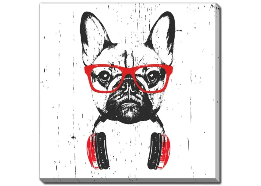 Attitude Bulldog