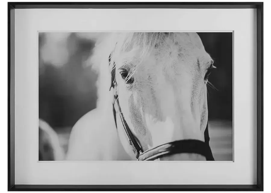 Uttermost Eyes On The Prize Black/White Framed Print Wall Art-46.25