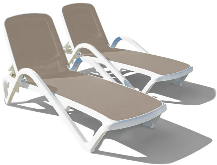 11434-poolside-chaise-set-of-2-1.webp