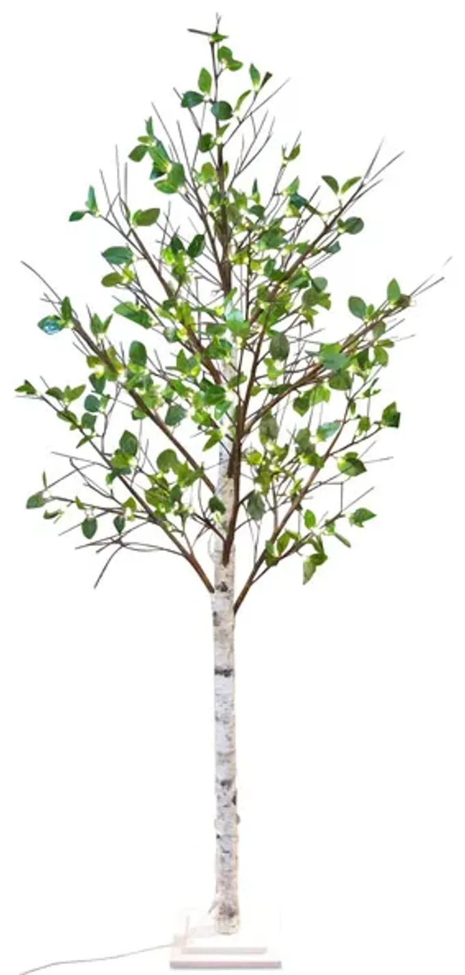 11707-98-led-tree-1.webp