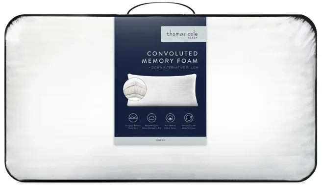 12347-convoluted-memory-queen-pillow-1.webp
