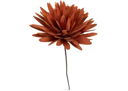 12629-dahlia-flower-burnt-orange-1.webp