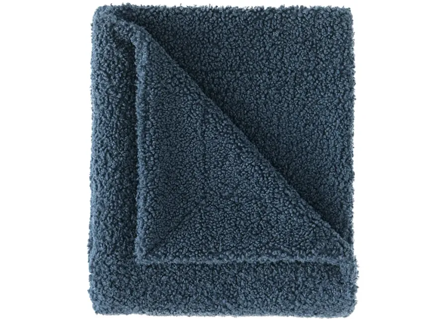 12759-teddy-throw-blanket-midnight-blue-1.webp