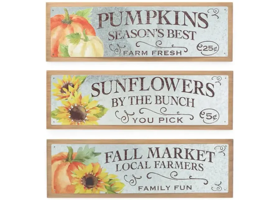 13316-fall-message-decor-1.webp