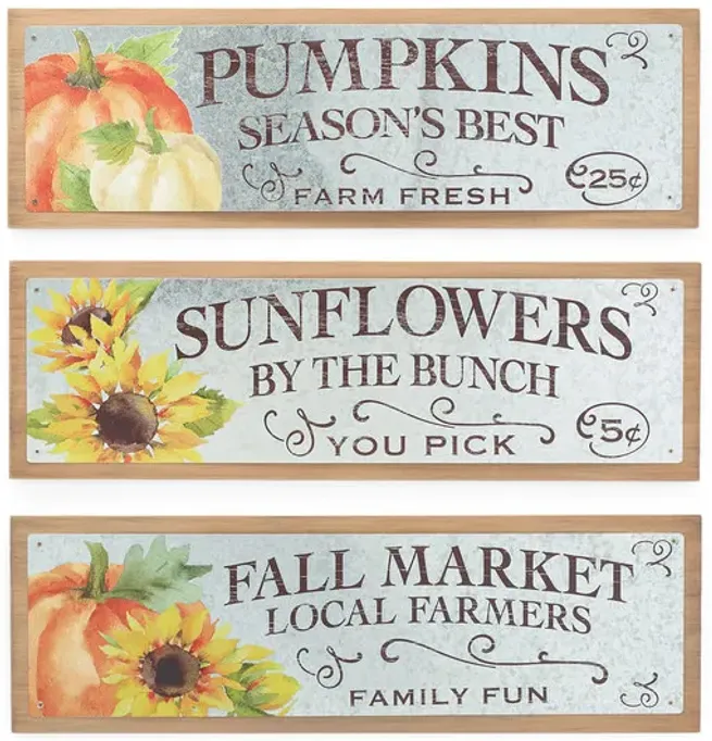 13316-fall-message-decor-1.webp