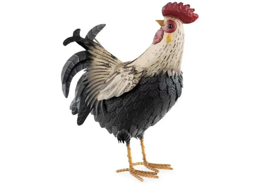 Black And White Rooster