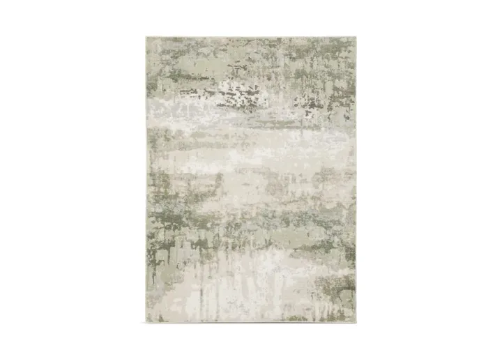 13917-caravan-soft-green-area-rug-7-10-x-10-10–1.webp