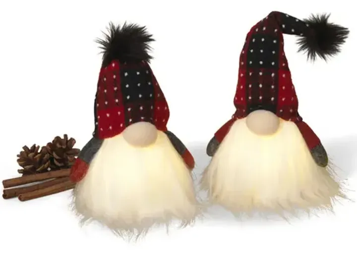 14554-light-up-gnome-1.webp