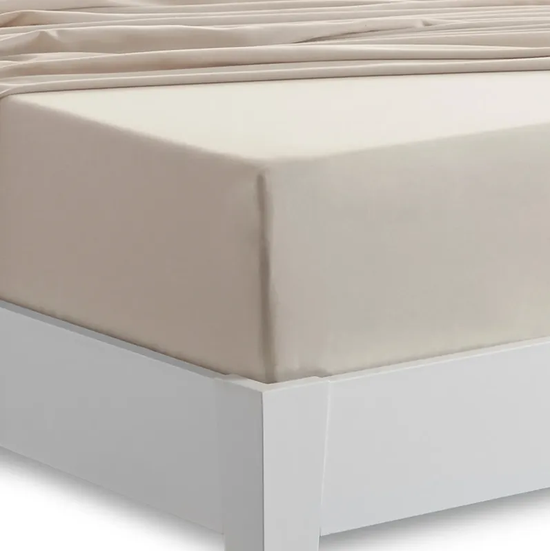 1461-bedgear-basic-full-medium-beige-sheet-set-1.webp