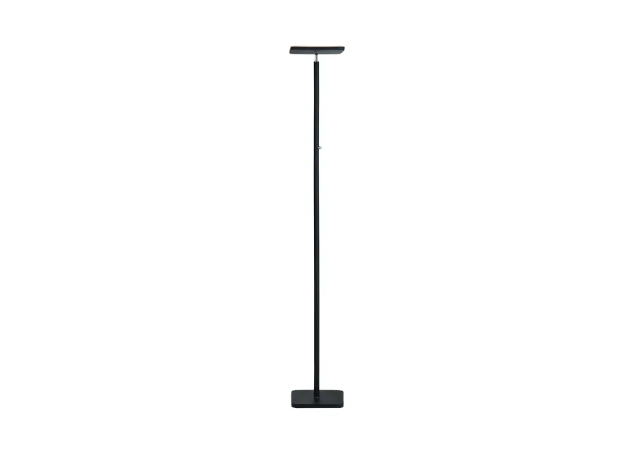 Hector Floor Lamp - Black