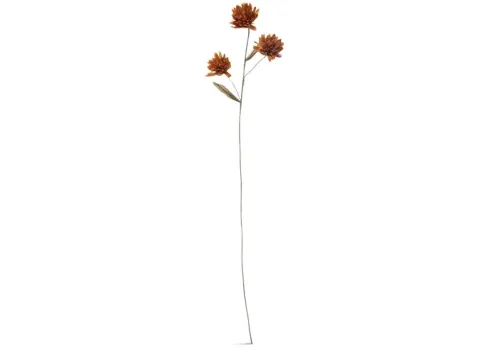 15087-chrysanthemum-paper-stem-1.webp
