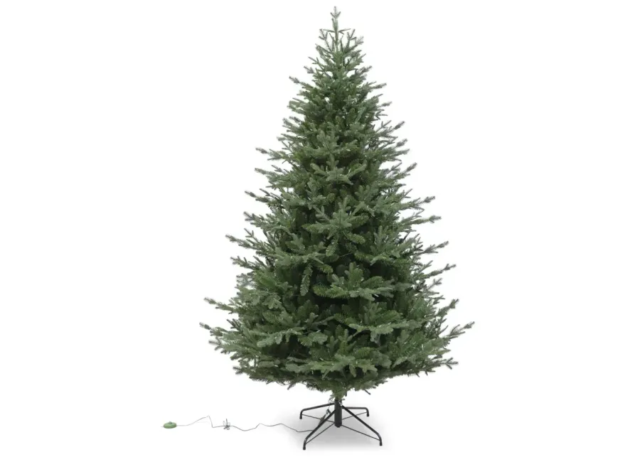 Grand Portage Fir 7.5  Artificial Christmas Tree With 600 Warm White LED Lights