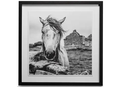 15664-ireland-black-and-white-framed-art-1.webp
