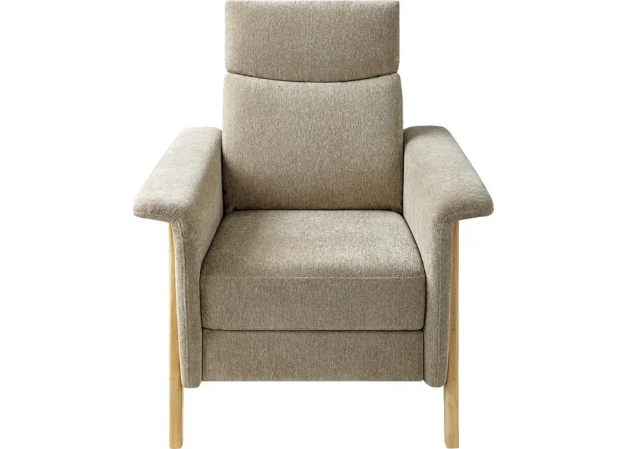 Imogea Gray Accent Chair-Gray