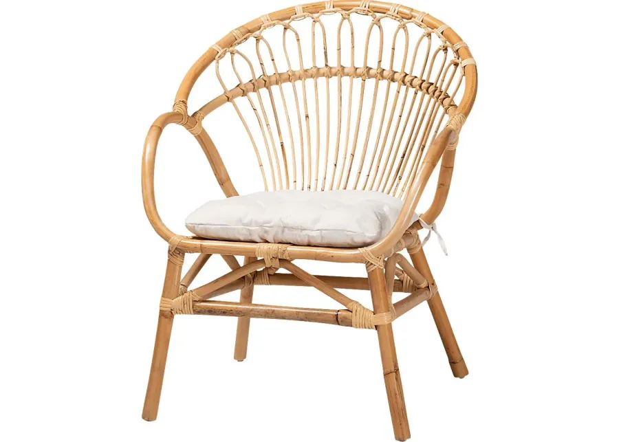Atella Ann I Brown Arm Chair-26.5