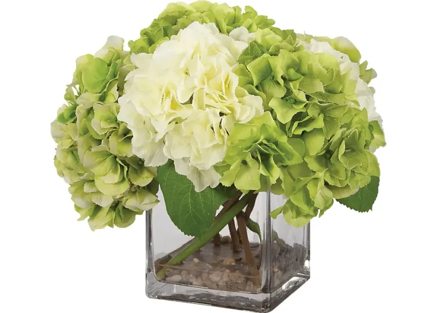 Berl White Plant-White