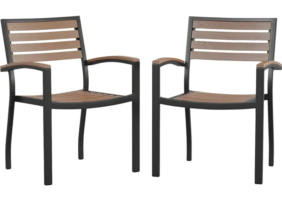 Outdoor Renoldor Brown Dining Chair, Set of 2-23