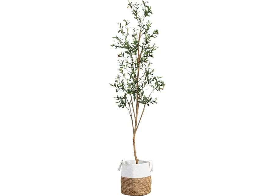 Amersham Green Artificial Olive Tree-Green