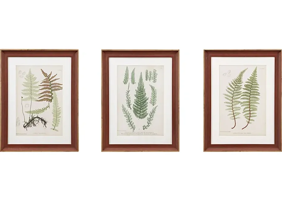 Avonoak Green Framed Graphic Wall Art Set of 3-Green