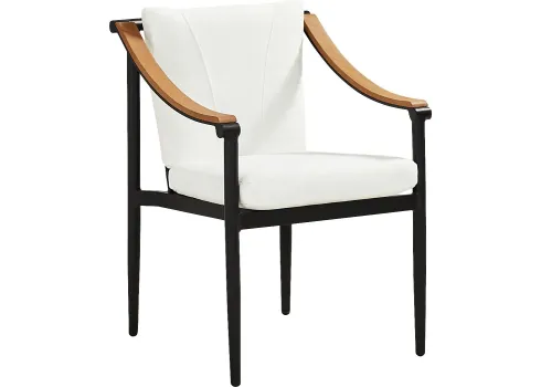23095-harlowe-black-outdoor-arm-chair-with-white-cushions-24-8-1.webp