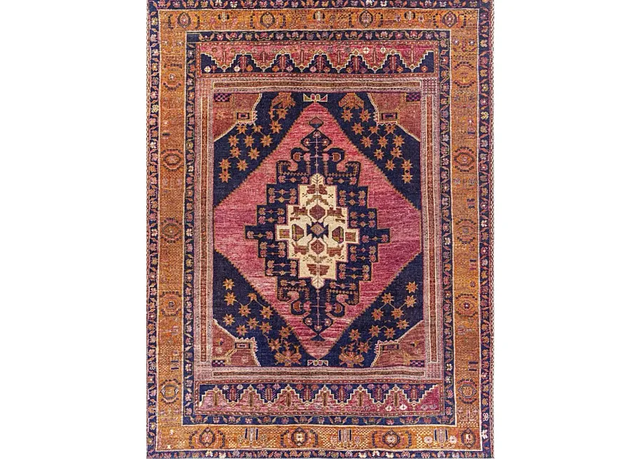 Emelyn Orange 7'8 x 10' Rug-Blue, Pink, Orange