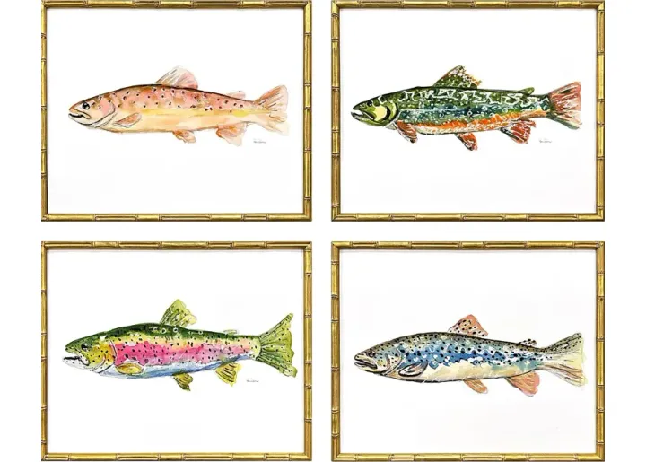 25111-trout-way-multi-artwork-set-of-4-multi-1.webp