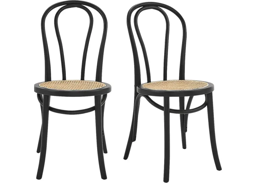 Brouwers Black Dining Chair, Set of 2-Black