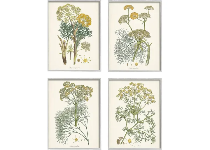 25329-an-assortment-of-herbs-set-of-4-artwork-11-1.webp