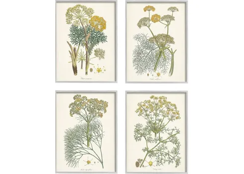 25329-an-assortment-of-herbs-set-of-4-artwork-11-1.webp