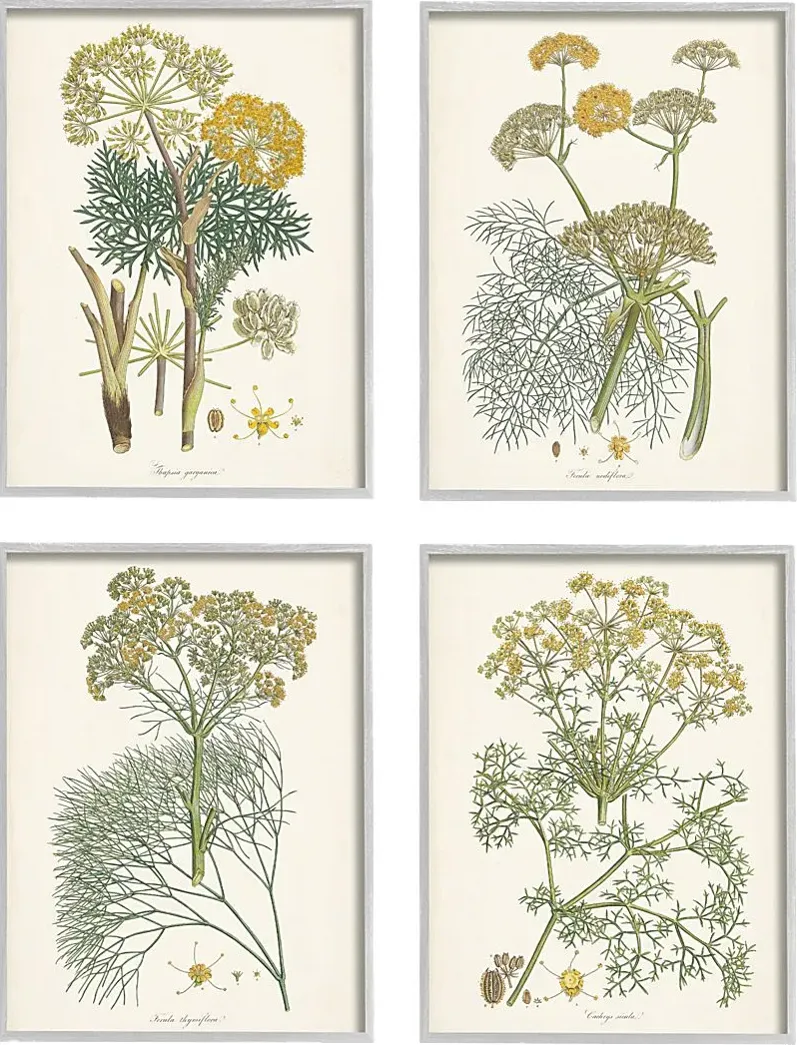 25329-an-assortment-of-herbs-set-of-4-artwork-11-1.webp