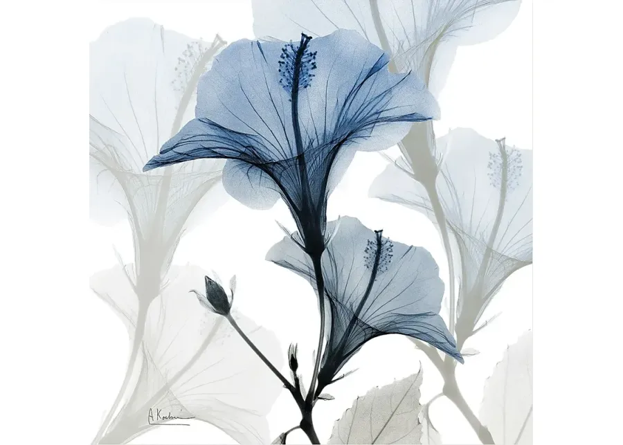 Phenakite Blue Artwork-Blue