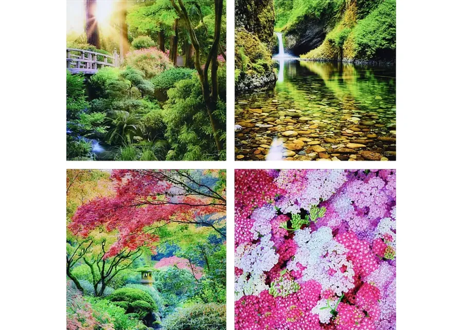 25852-patzke-multi-artwork-multi-1.webp