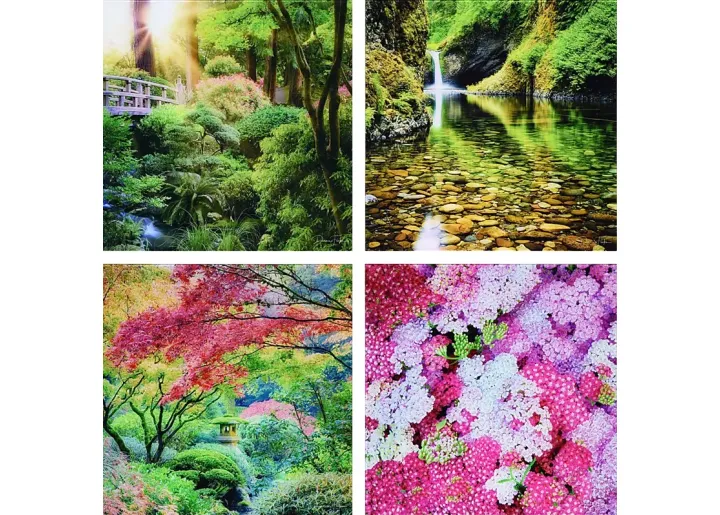25852-patzke-multi-artwork-multi-1.webp