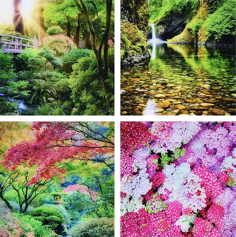 25852-patzke-multi-artwork-multi-1.webp