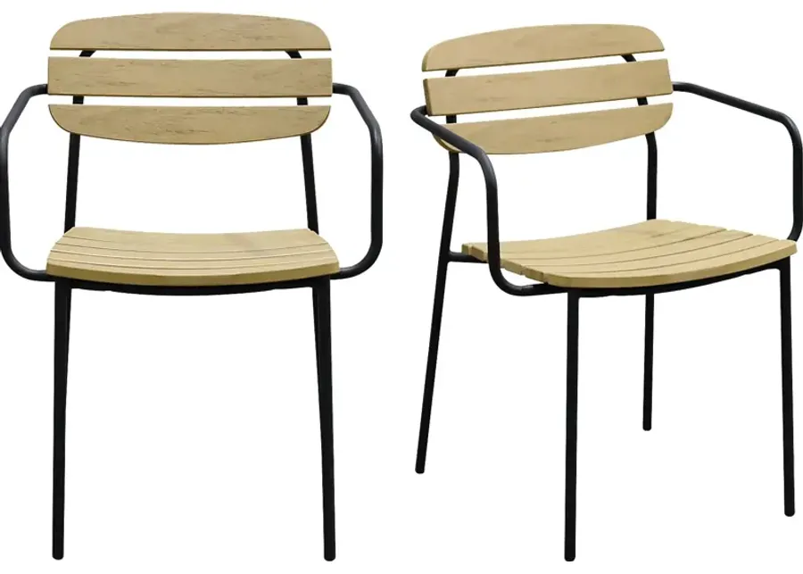 Outdoor Rufiny Brown Arm Chair, Set of 2-Brown
